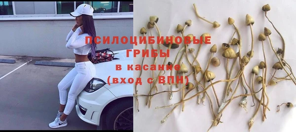 Альфа ПВП Осташков
